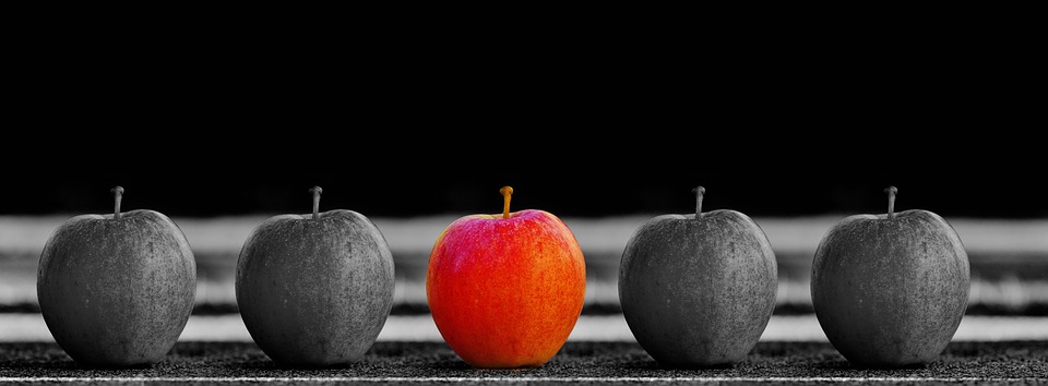 Safety or Return – Your Fund Selection Options in the Bear Market